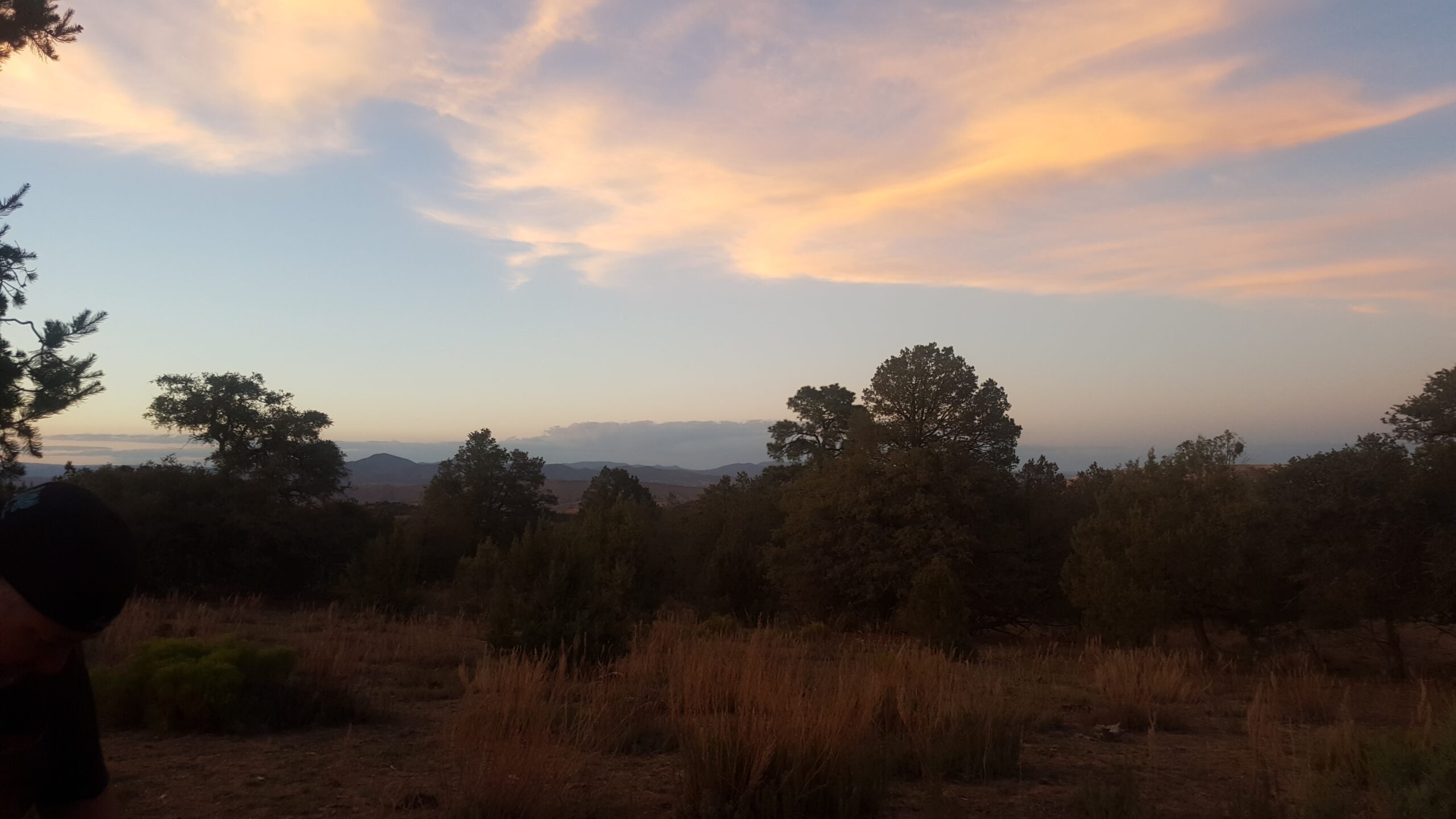 Burro Mountain Homestead: Friends, Trails & Mountain Memories Chapter 1