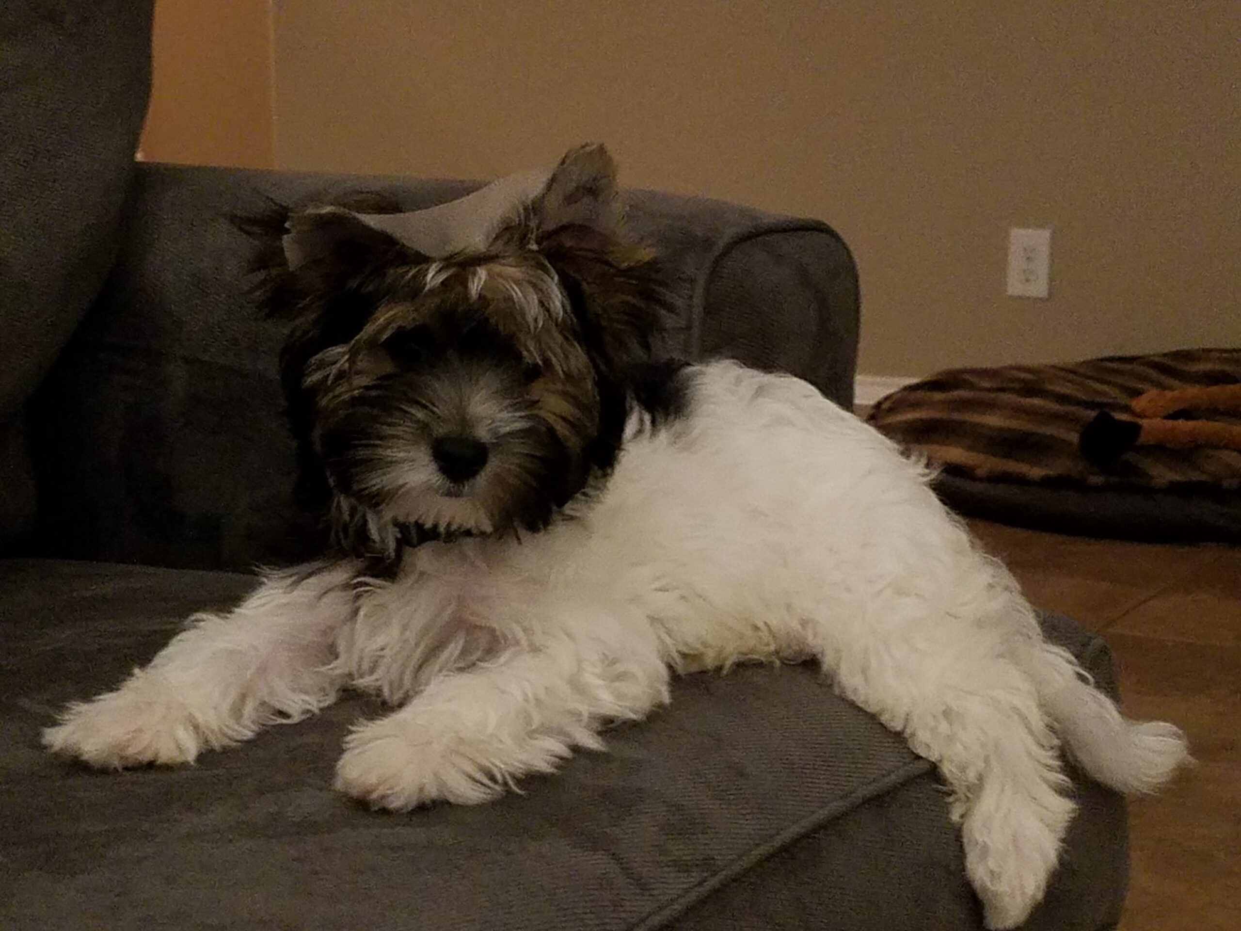 Baby Kioni