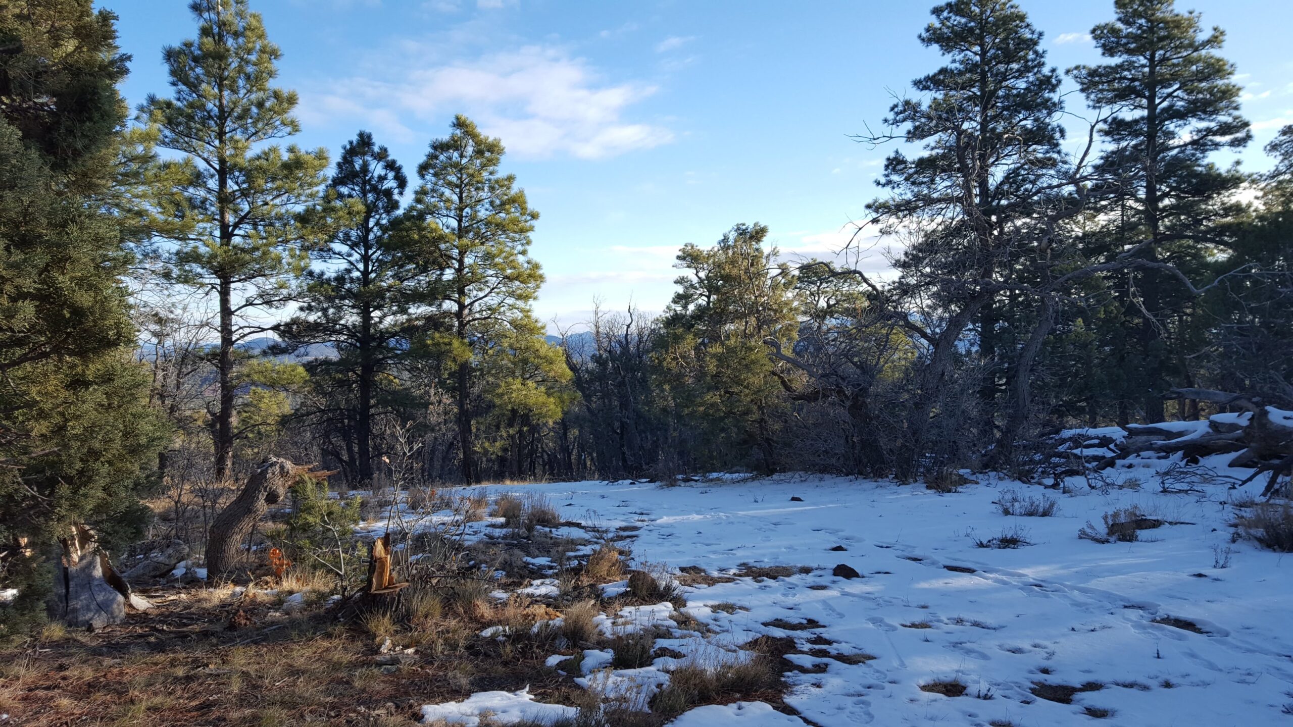 Elk Hunting 2016